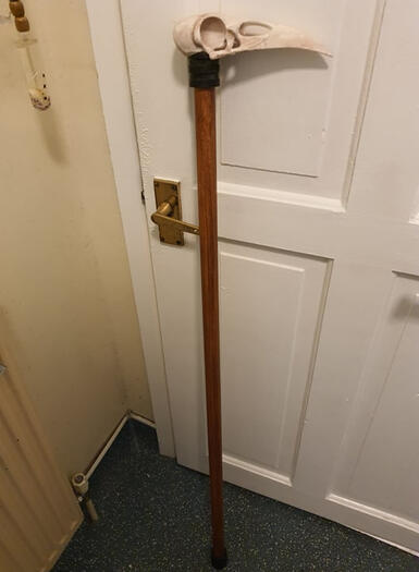 3d printed Raven skull topped wooden cane